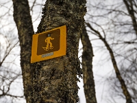 Parc national de la Jacques-Cartier